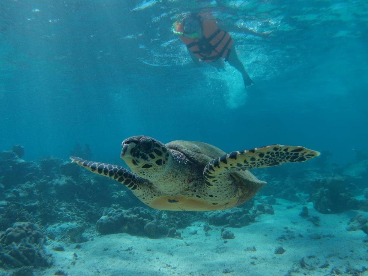 فندق Chambao Maldives غوريدهو المظهر الخارجي الصورة