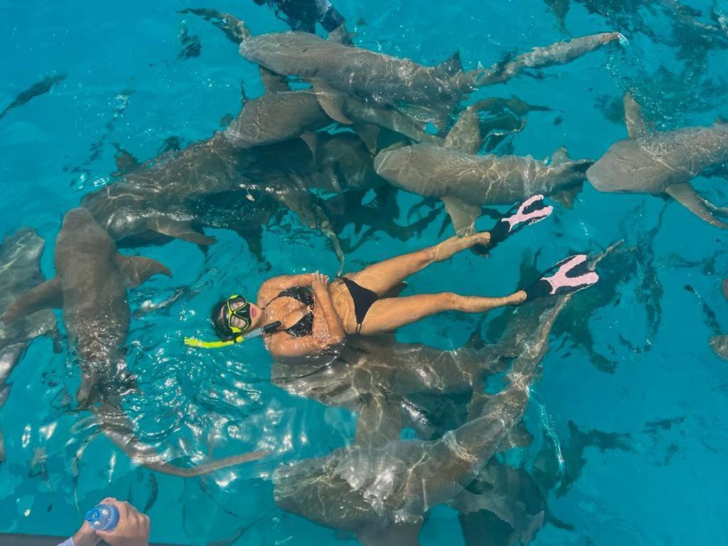 فندق Chambao Maldives غوريدهو المظهر الخارجي الصورة